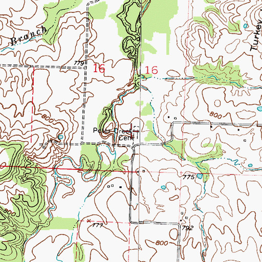 Topographic Map of Peter Creek Cemetery, MO