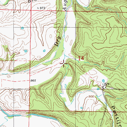 Topographic Map of Pettijohn Hollow, MO