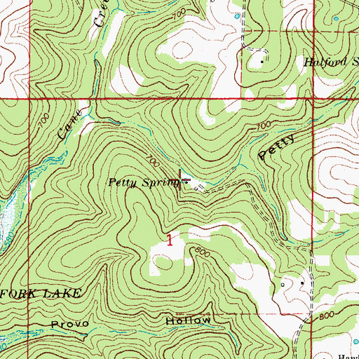 Topographic Map of Petty Spring, MO