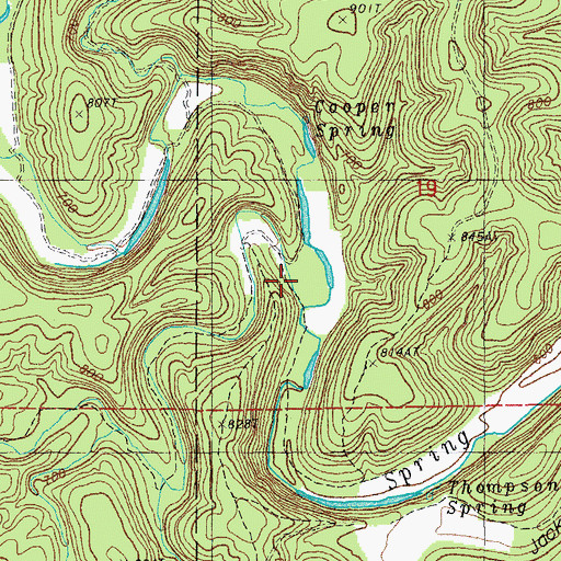 Topographic Map of Piedmont Hollow, MO