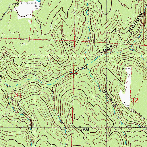 Topographic Map of Lock Hollow, AR