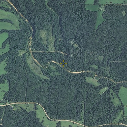 Aerial/Satellite Image of Pine Branch, MO
