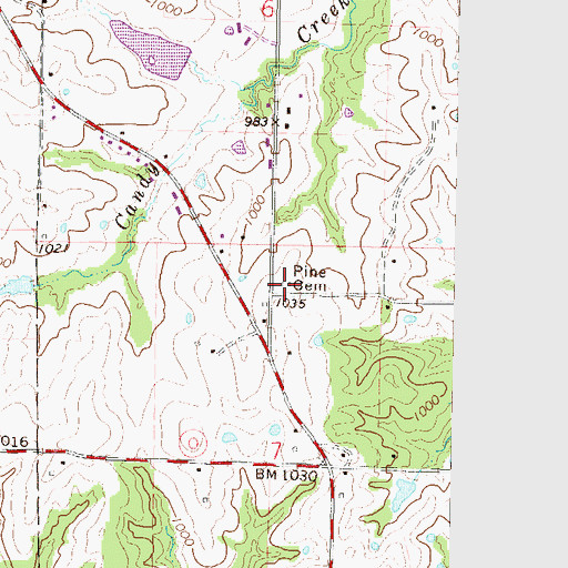 Topographic Map of Pine Cemetery, MO
