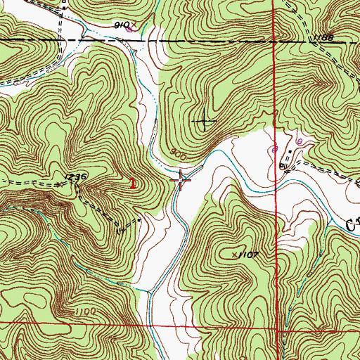 Topographic Map of Pine Hollow, MO