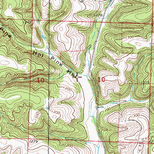 Topographic Map of Pine Hollow, MO