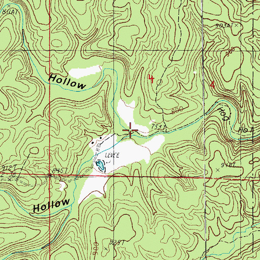 Topographic Map of Pine Hollow, MO