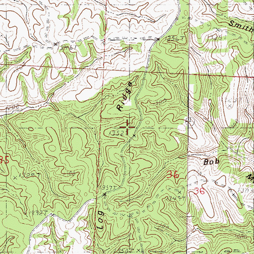 Topographic Map of Pine Log Ridge, MO