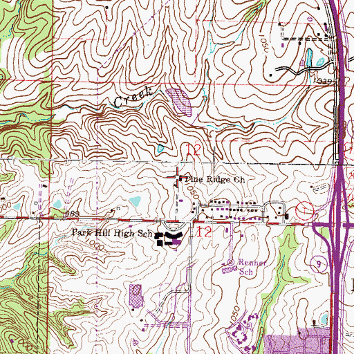 Topographic Map of Pine Ridge Church, MO