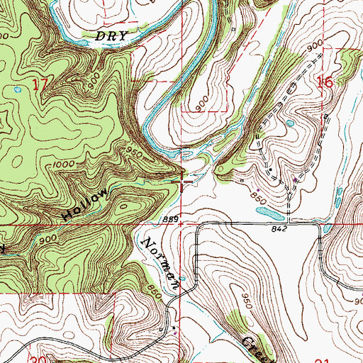 Topographic Map of Piney Hollow, MO