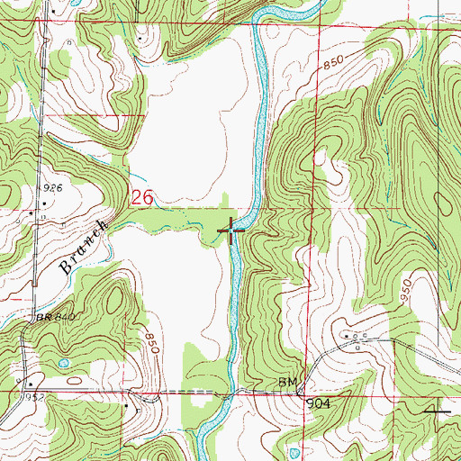 Topographic Map of Pippin Branch, MO