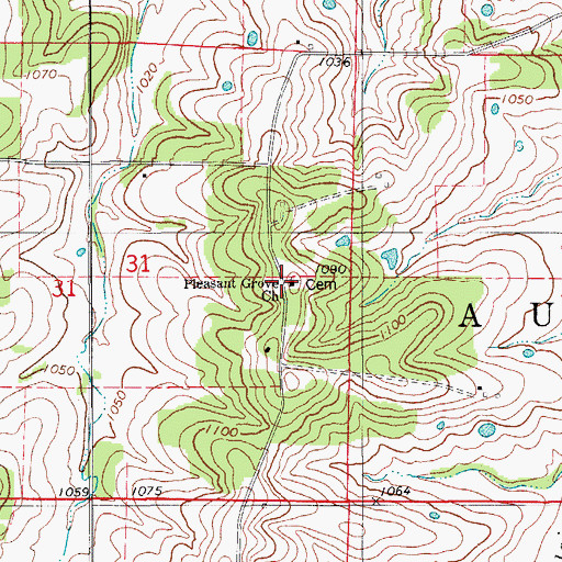 Topographic Map of Pleasant Grove Church, MO