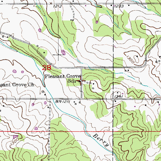 Topographic Map of Pleasant Grove School, MO