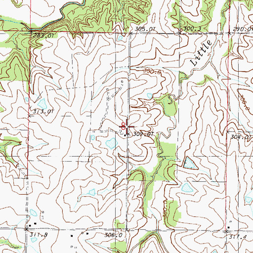 Topographic Map of Pleasant Grove School (historical), MO