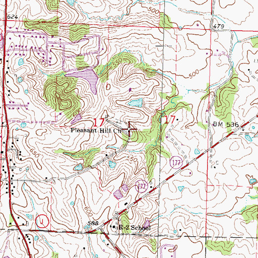 Topographic Map of Pleasant Hill Church, MO