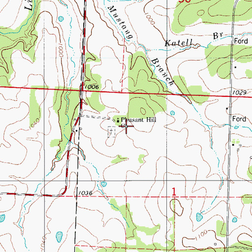 Topographic Map of Pleasant Hill Church, MO