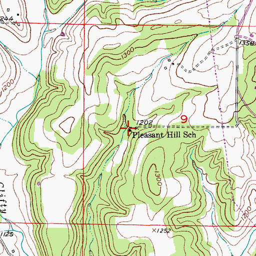 Topographic Map of Pleasant Hill School, MO