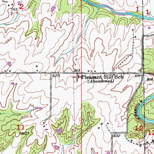 Topographic Map of Pleasant Hill School, MO