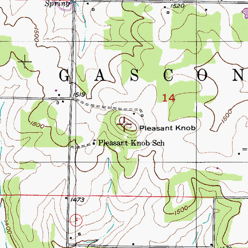 Topographic Map of Pleasant Knob, MO