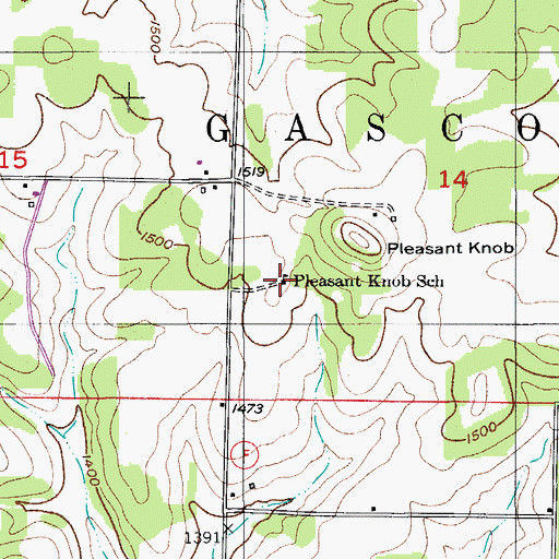 Topographic Map of Pleasant Knob School, MO