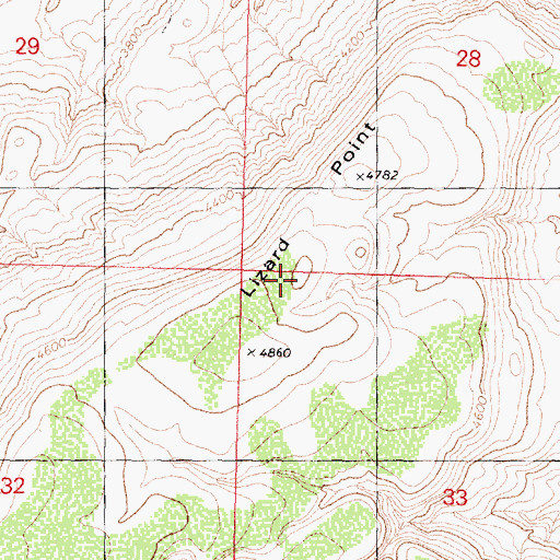 Topographic Map of Lizard Point, AZ