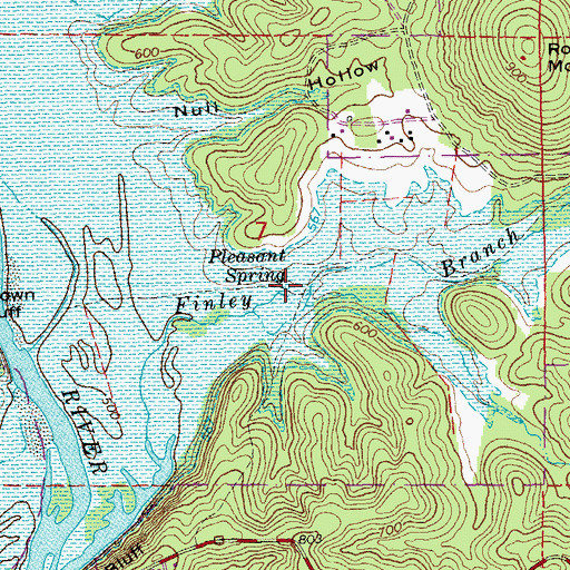 Topographic Map of Pleasant Spring, MO