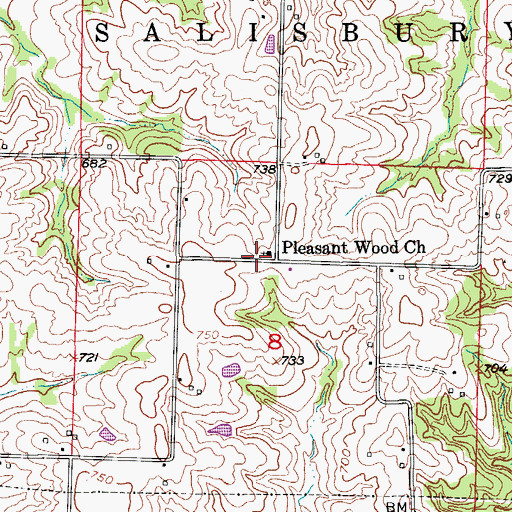 Topographic Map of Pleasant Wood Church, MO