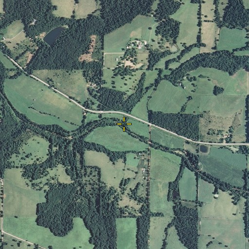 Aerial/Satellite Image of Plemmons Branch, MO