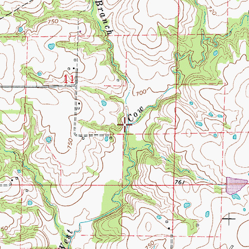 Topographic Map of Plum Branch, MO