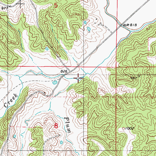 Topographic Map of Plum Branch, MO