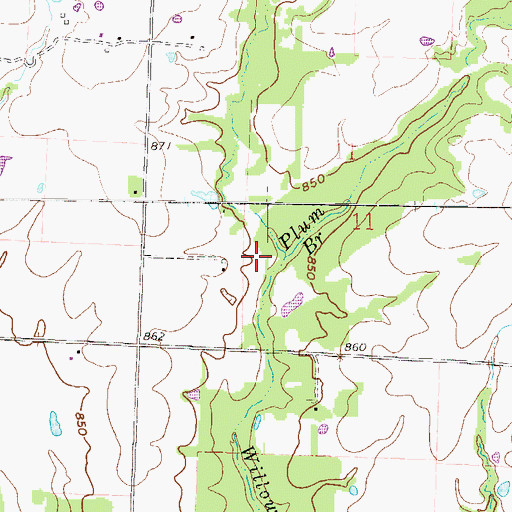 Topographic Map of Plum Branch, MO