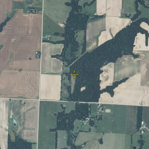 Aerial/Satellite Image of Plum Branch, MO