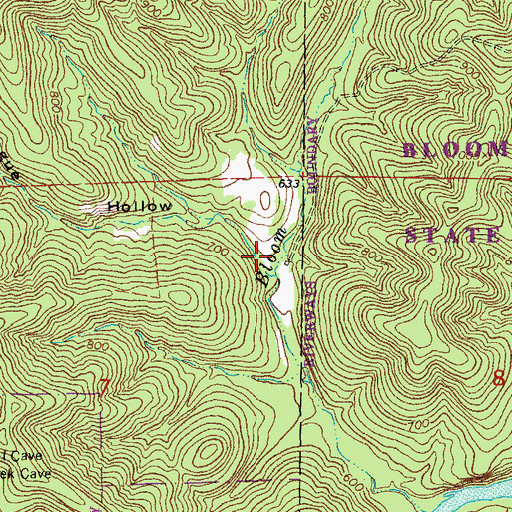 Topographic Map of Pogue Hollow, MO