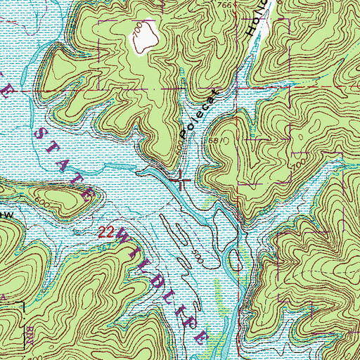 Topographic Map of Polecat Hollow, MO