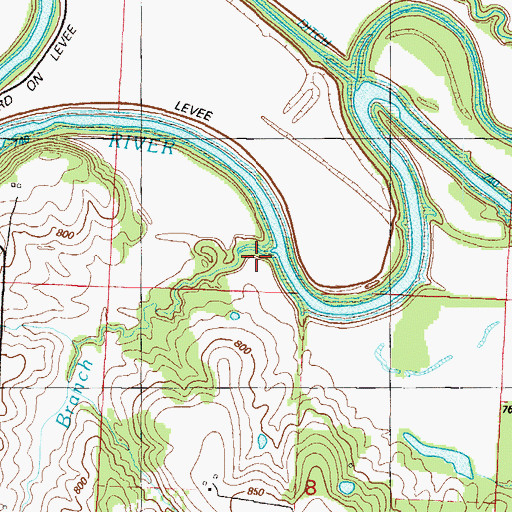 Topographic Map of Polk Branch, MO