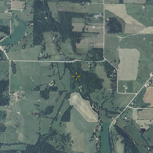 Aerial/Satellite Image of Polk Spring Branch, MO