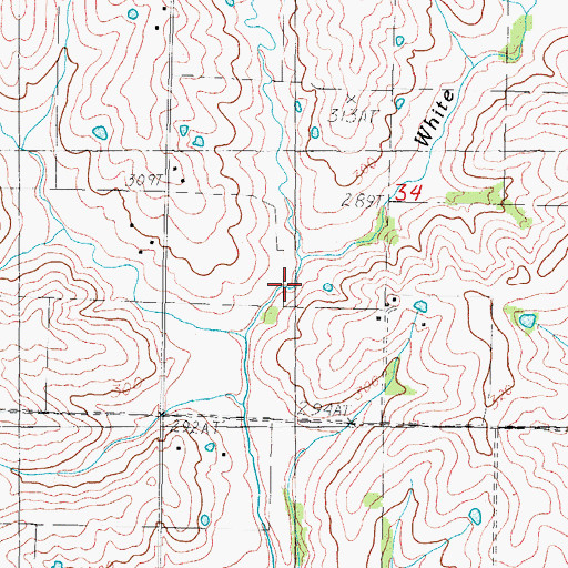 Topographic Map of Pony Branch, MO