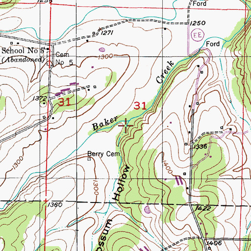 Topographic Map of Possum Hollow, MO