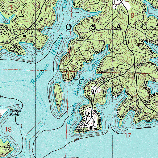 Topographic Map of Possum Hollow Cove, MO