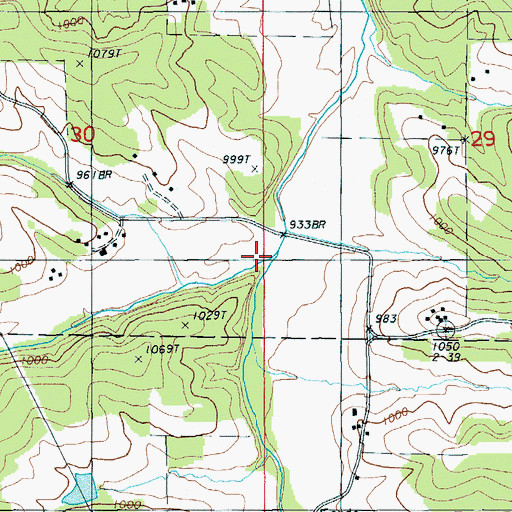 Topographic Map of Prairie Creek, MO