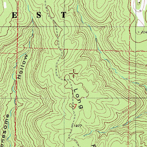 Topographic Map of Long Ridge, AR