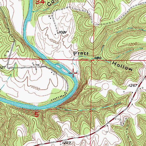 Topographic Map of Pratt Hollow, MO