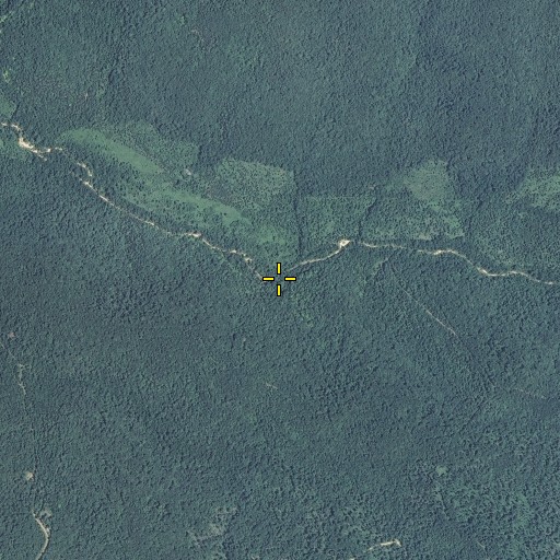 Aerial/Satellite Image of Pratt Spring, MO