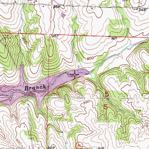 Topographic Map of Price Branch, MO