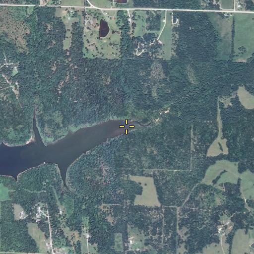 Aerial/Satellite Image of Price Branch, MO