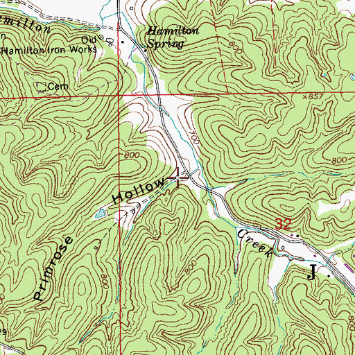 Topographic Map of Primrose Hollow, MO