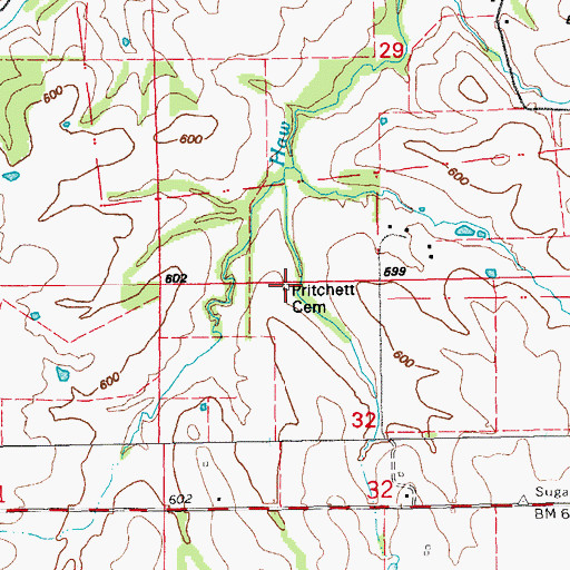 Topographic Map of Pritchett Cemetery, MO