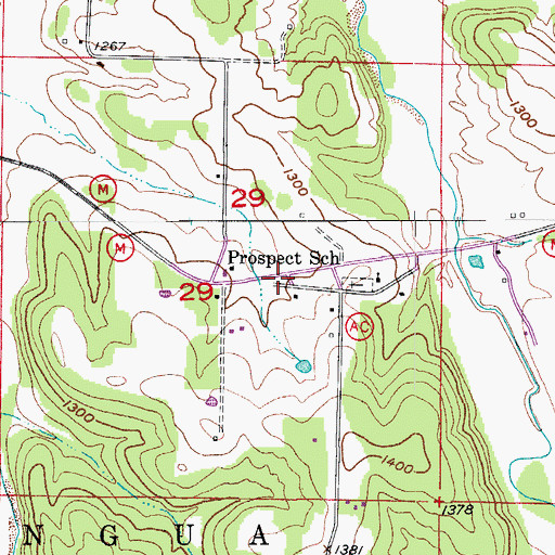 Topographic Map of Prospect School, MO