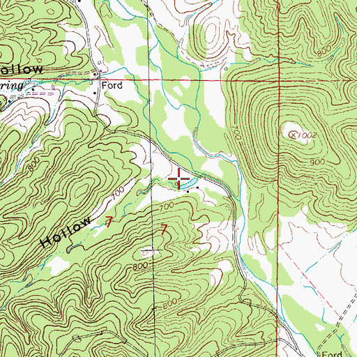 Topographic Map of Pyrtle Hollow, MO