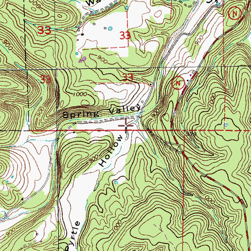 Topographic Map of Pyrtle Hollow, MO