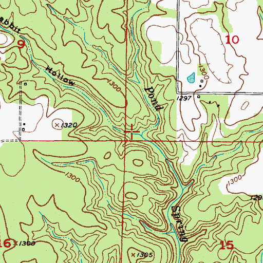 Topographic Map of Rabbit Hollow, MO